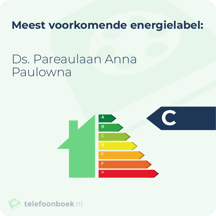 Energielabel Ds. Pareaulaan Anna Paulowna | Meest voorkomend