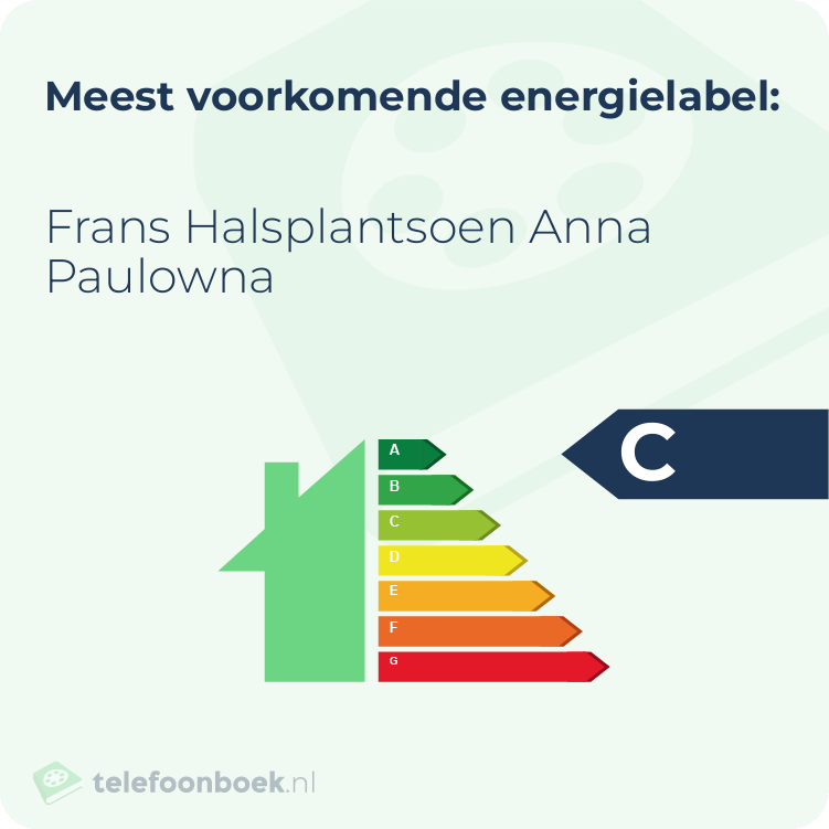 Energielabel Frans Halsplantsoen Anna Paulowna | Meest voorkomend