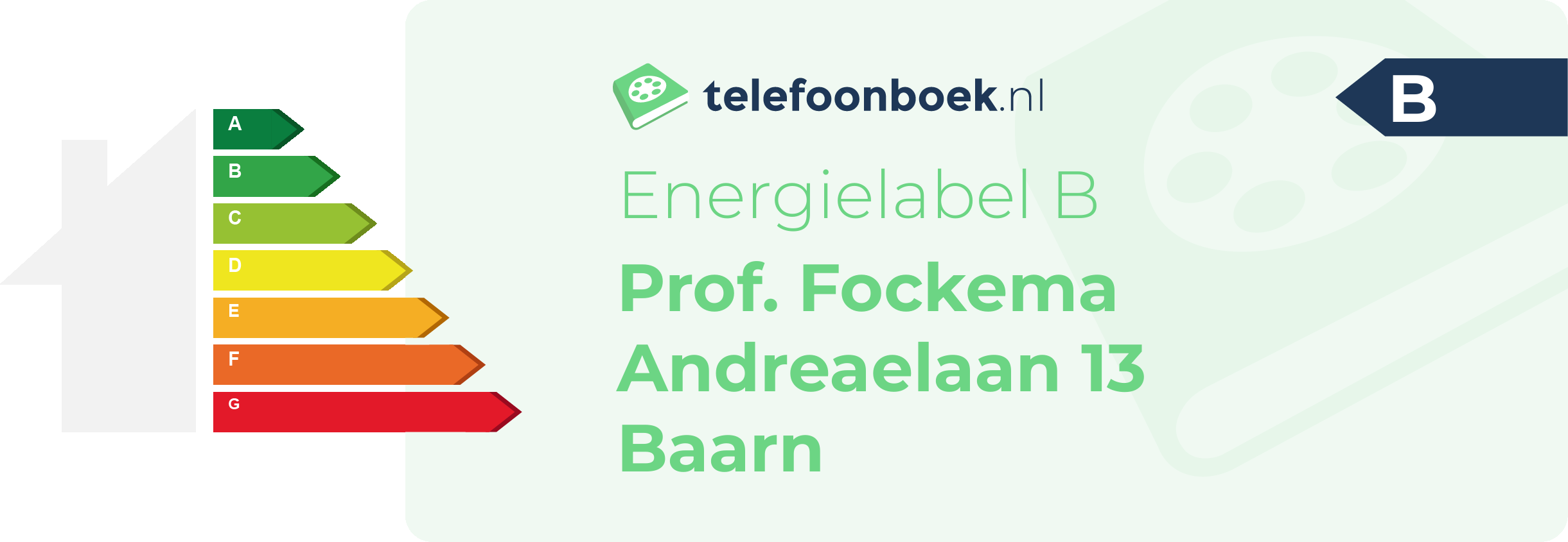 Energielabel Prof. Fockema Andreaelaan 13 Baarn