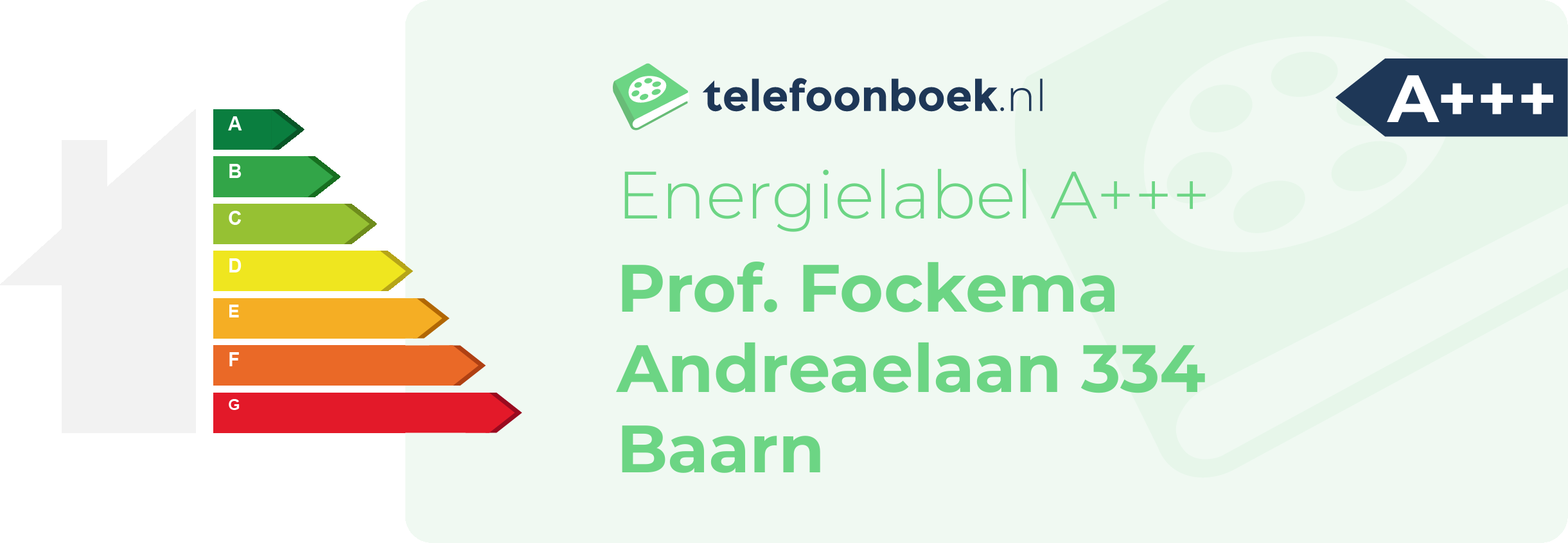 Energielabel Prof. Fockema Andreaelaan 334 Baarn