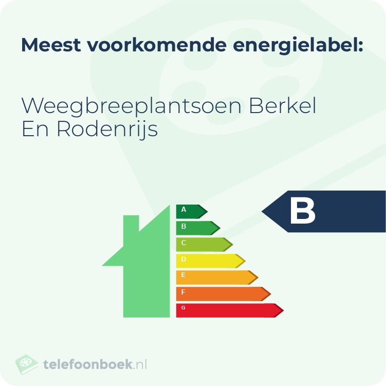 Energielabel Weegbreeplantsoen Berkel En Rodenrijs | Meest voorkomend