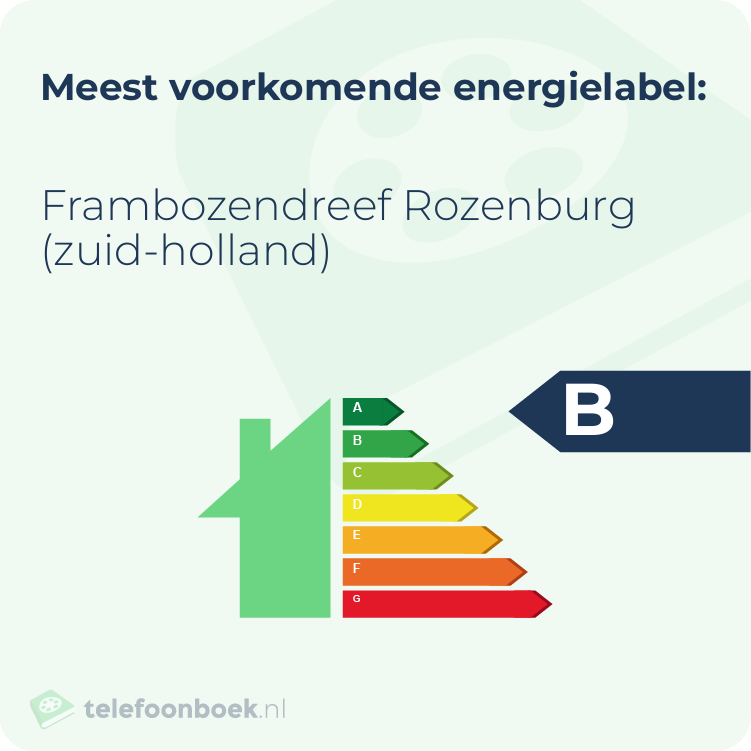Energielabel Frambozendreef Rozenburg (Zuid-Holland) | Meest voorkomend