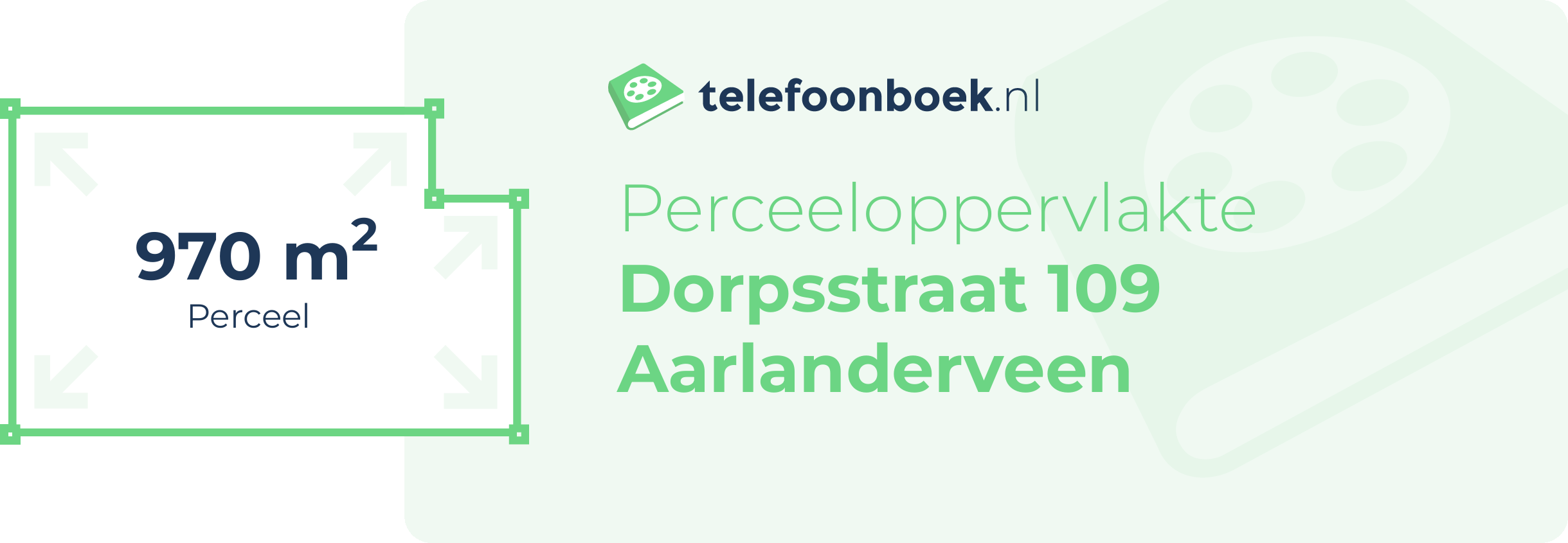 Perceeloppervlakte Dorpsstraat 109 Aarlanderveen