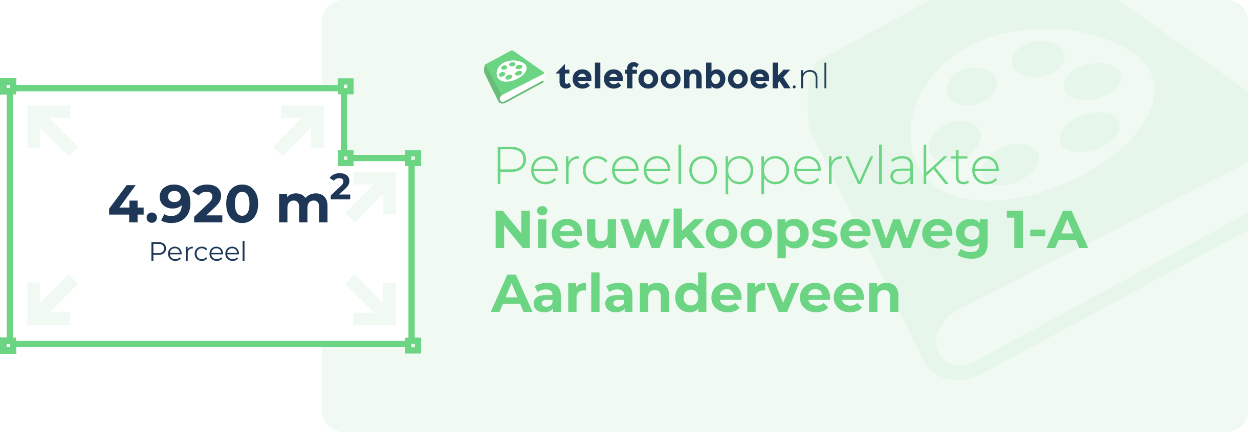 Perceeloppervlakte Nieuwkoopseweg 1-A Aarlanderveen