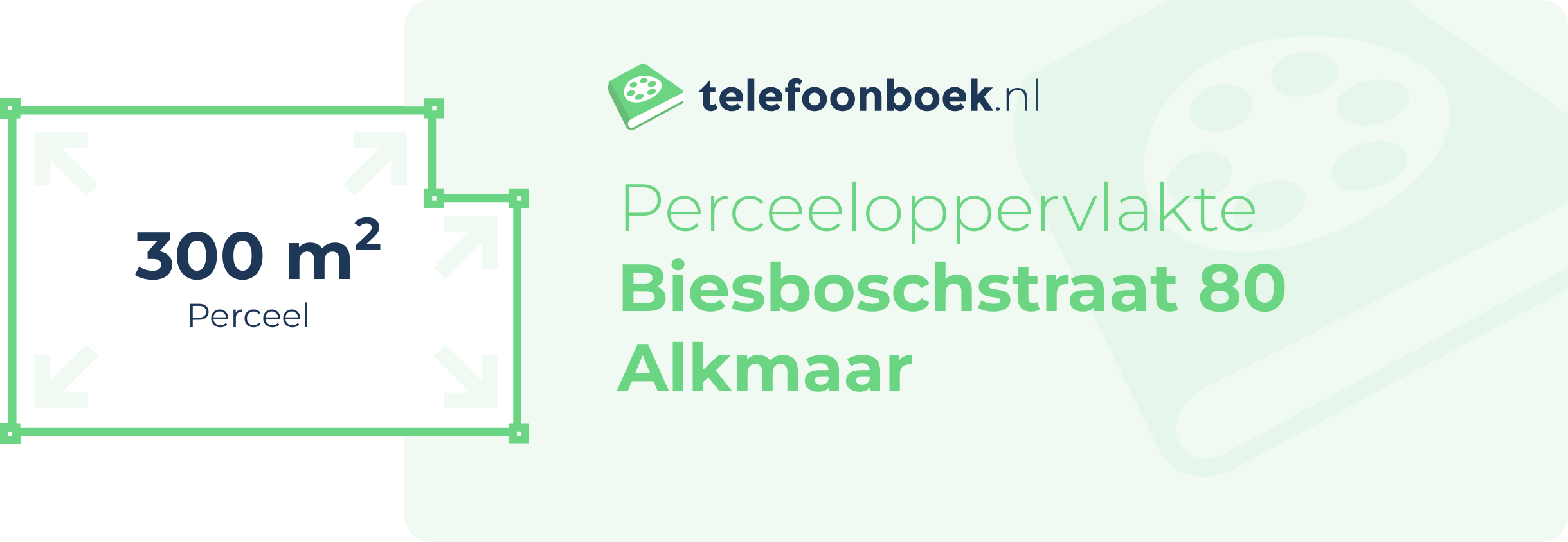 Perceeloppervlakte Biesboschstraat 80 Alkmaar