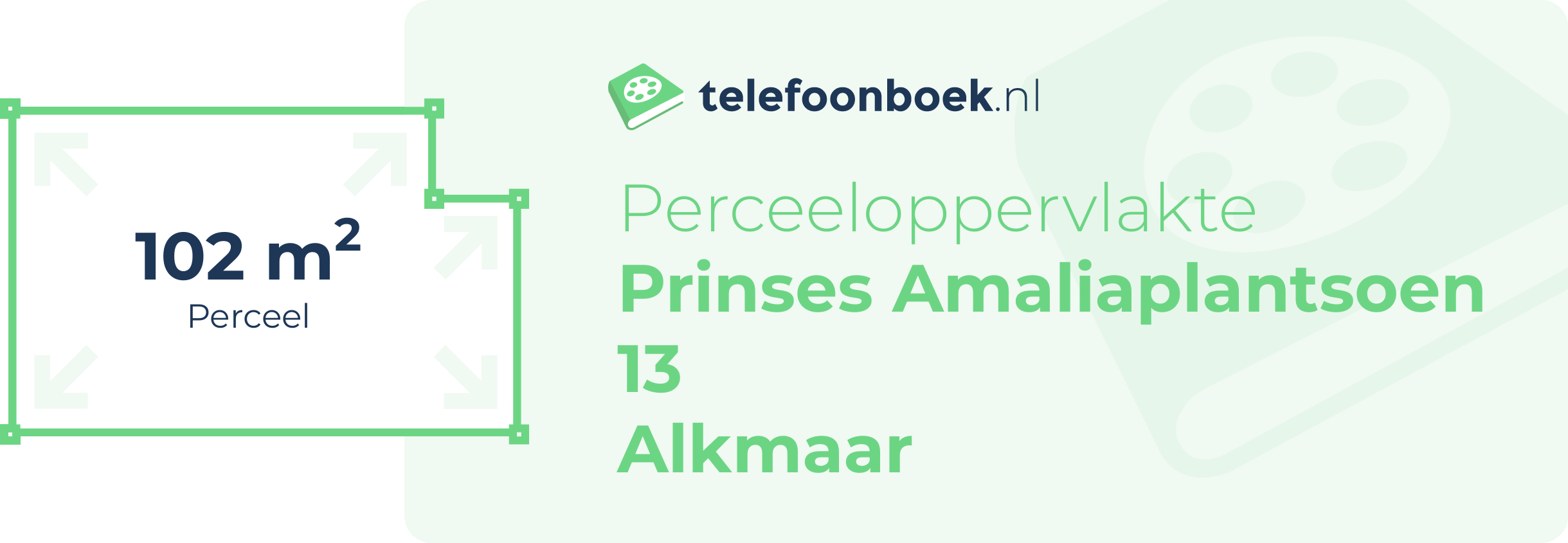 Perceeloppervlakte Prinses Amaliaplantsoen 13 Alkmaar