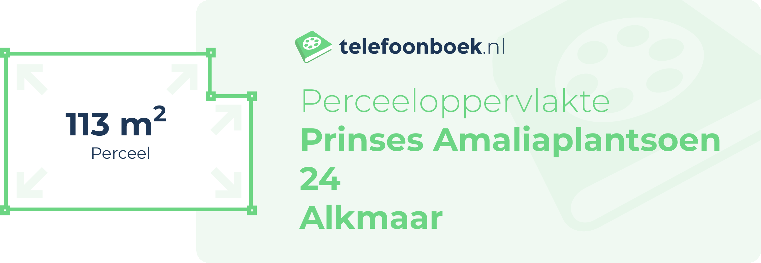Perceeloppervlakte Prinses Amaliaplantsoen 24 Alkmaar