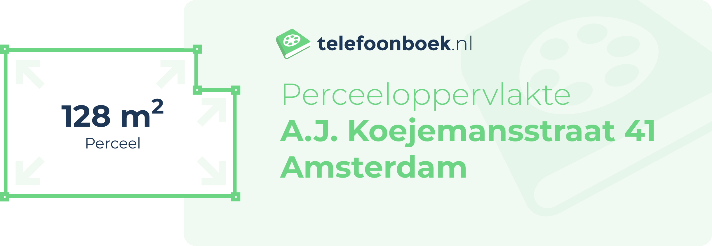 Perceeloppervlakte A.J. Koejemansstraat 41 Amsterdam