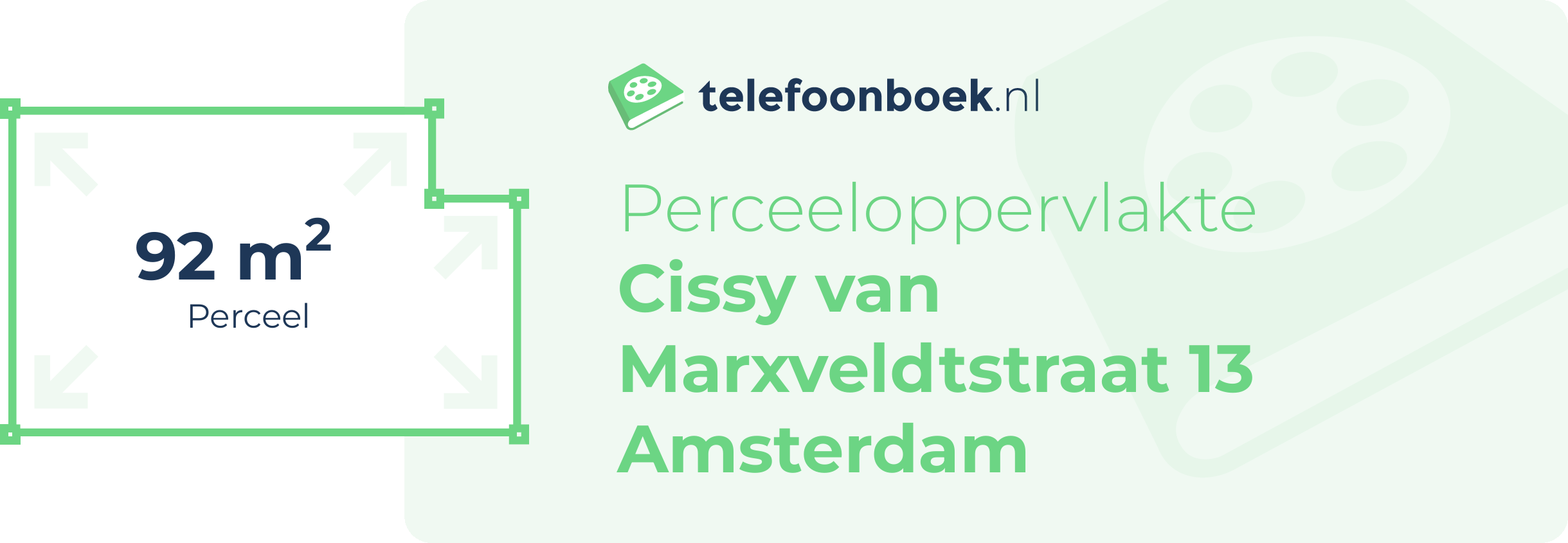 Perceeloppervlakte Cissy Van Marxveldtstraat 13 Amsterdam