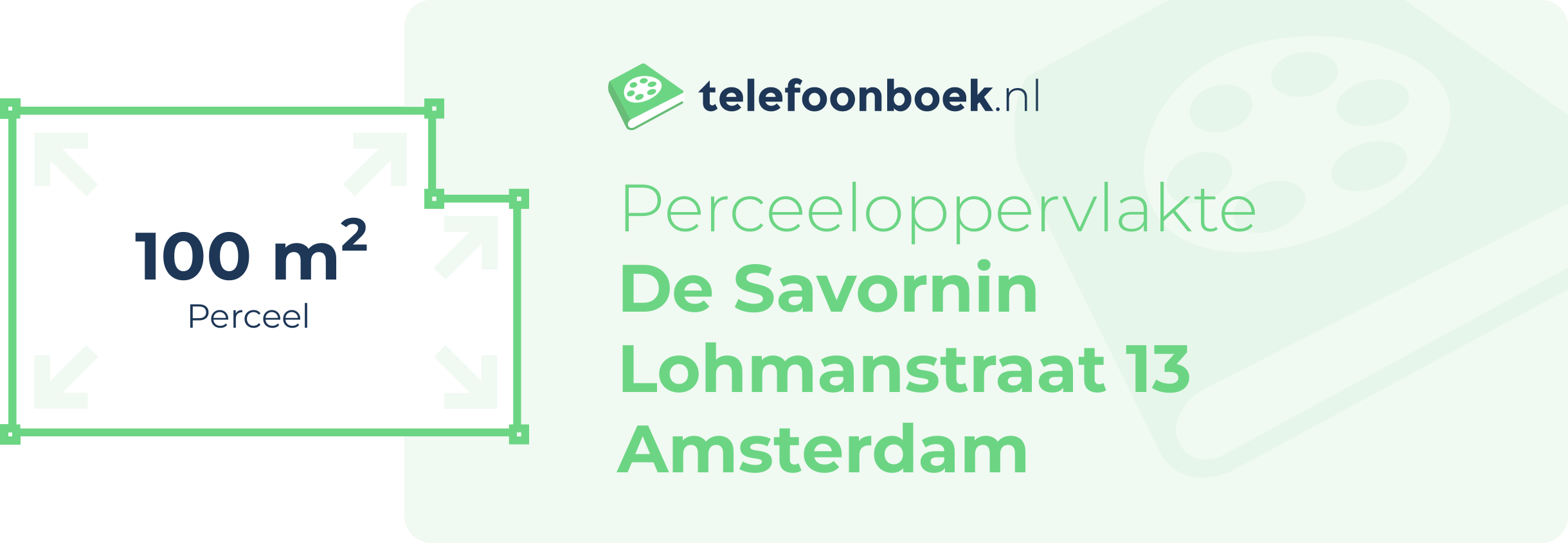 Perceeloppervlakte De Savornin Lohmanstraat 13 Amsterdam