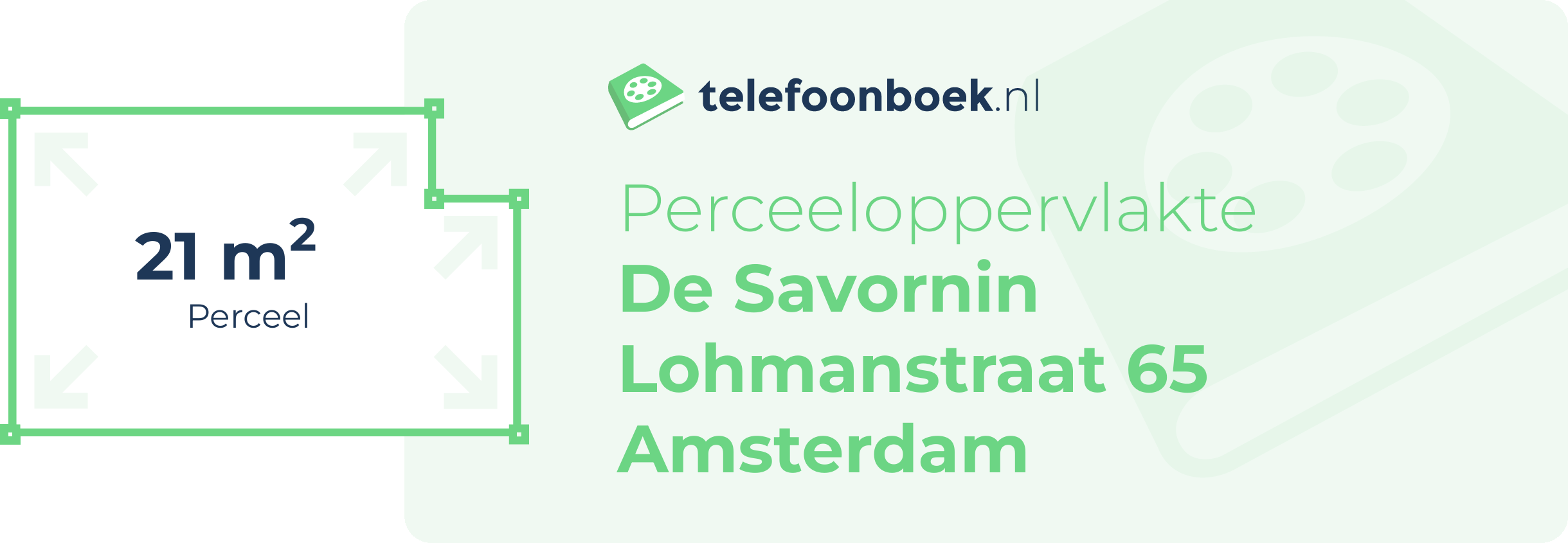 Perceeloppervlakte De Savornin Lohmanstraat 65 Amsterdam