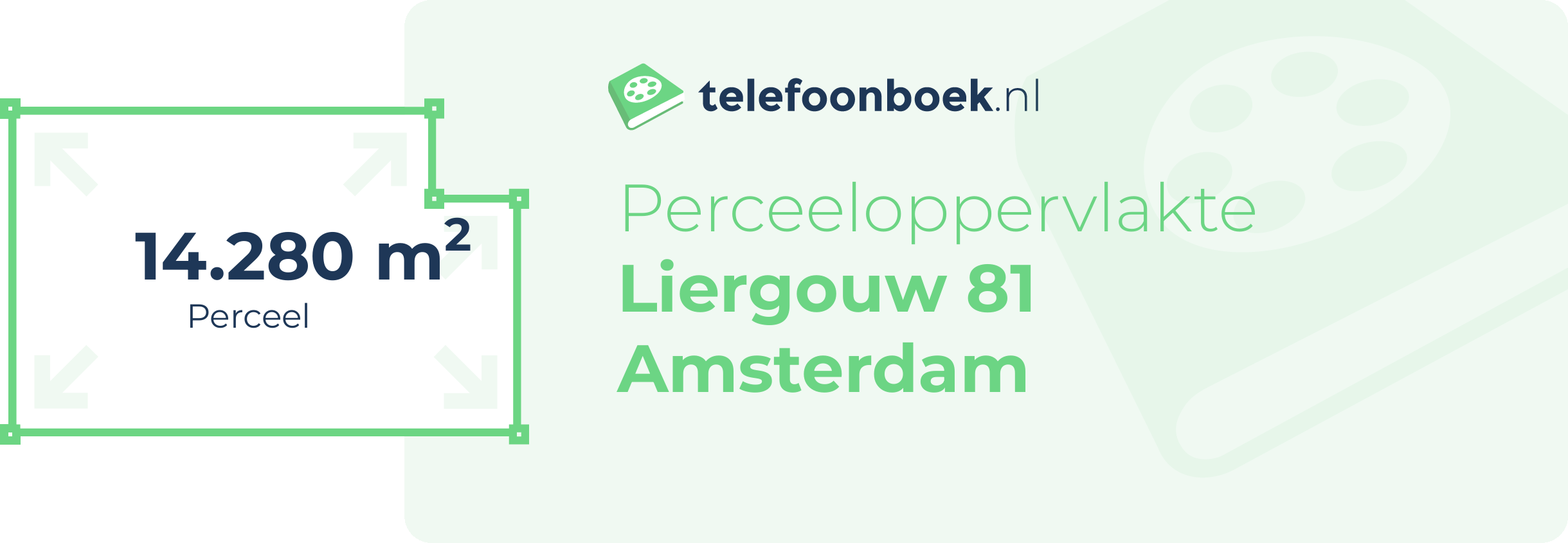 Perceeloppervlakte Liergouw 81 Amsterdam