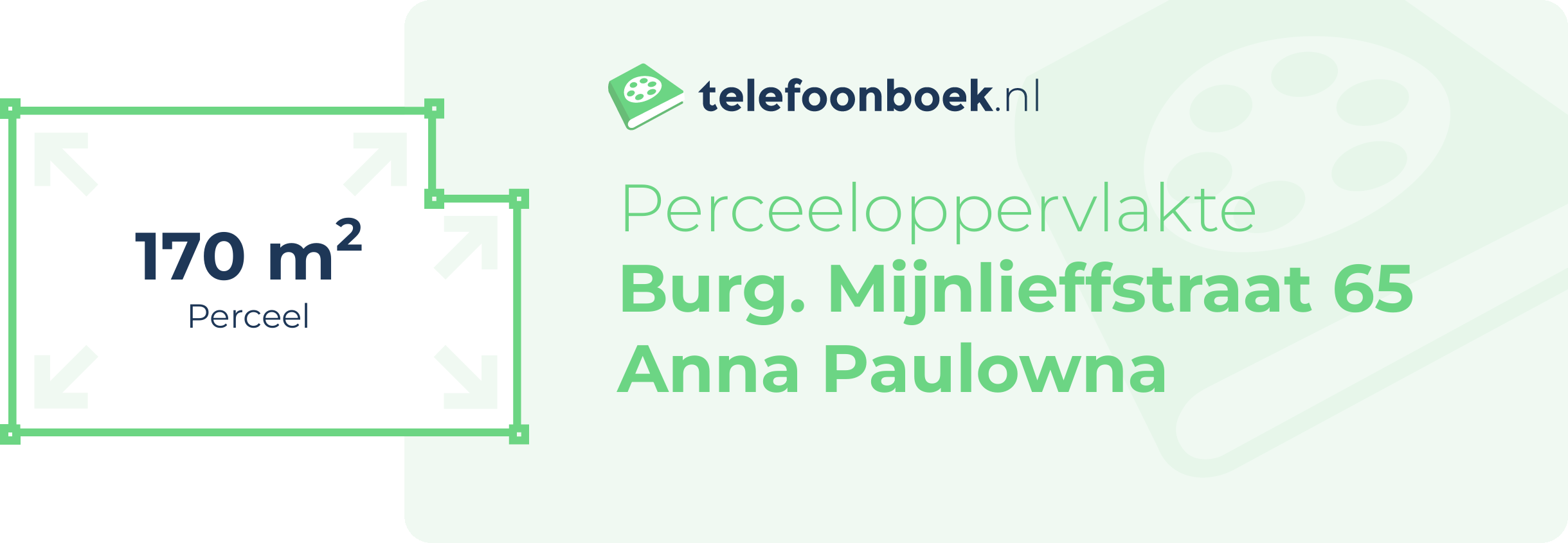 Perceeloppervlakte Burg. Mijnlieffstraat 65 Anna Paulowna