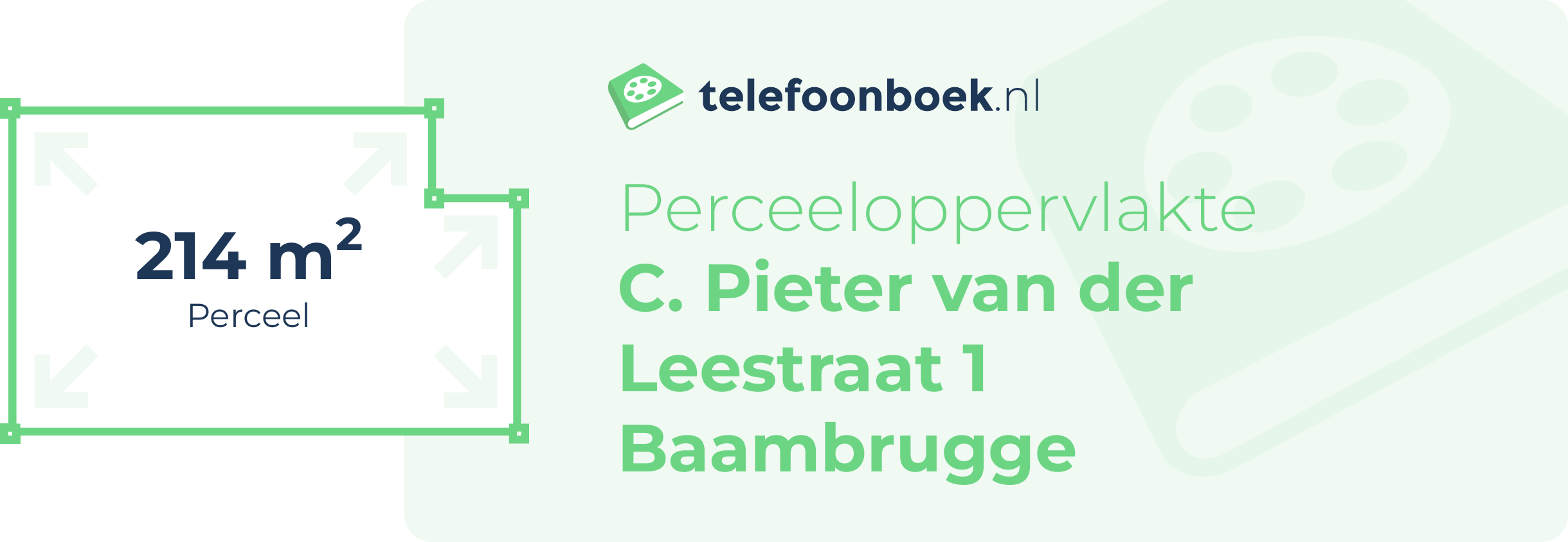 Perceeloppervlakte C. Pieter Van Der Leestraat 1 Baambrugge