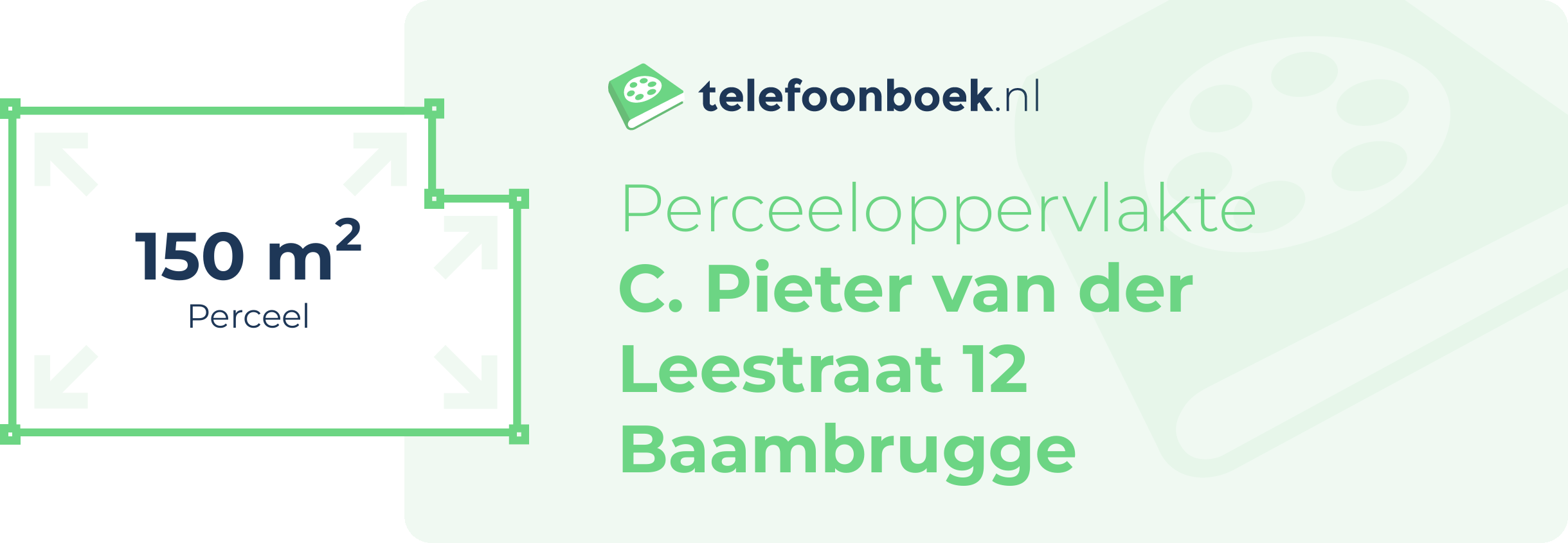 Perceeloppervlakte C. Pieter Van Der Leestraat 12 Baambrugge