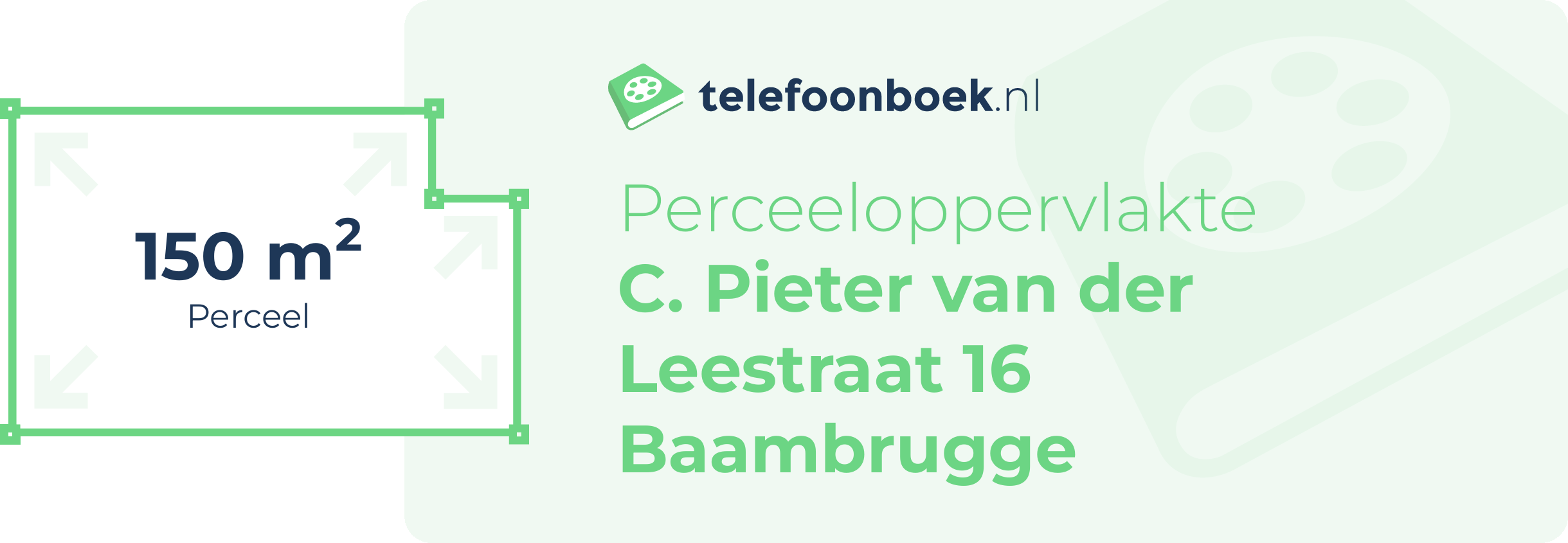 Perceeloppervlakte C. Pieter Van Der Leestraat 16 Baambrugge