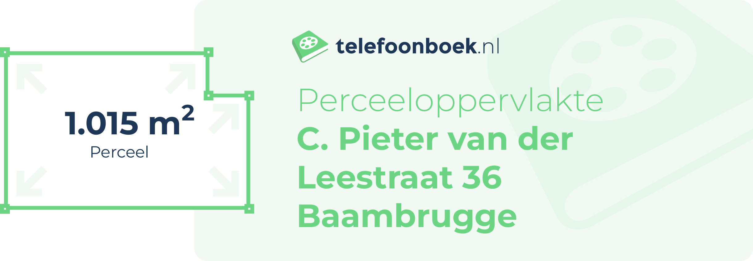 Perceeloppervlakte C. Pieter Van Der Leestraat 36 Baambrugge