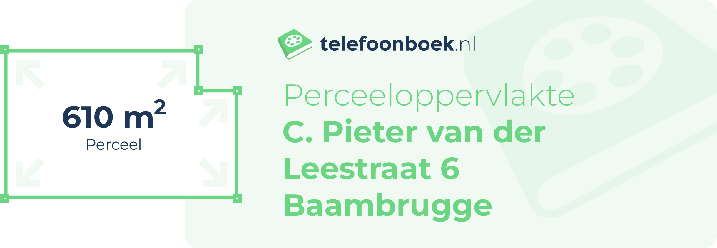 Perceeloppervlakte C. Pieter Van Der Leestraat 6 Baambrugge