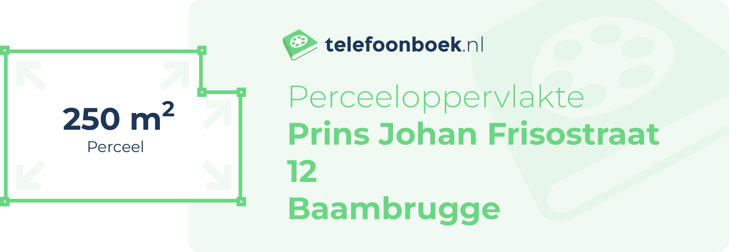 Perceeloppervlakte Prins Johan Frisostraat 12 Baambrugge