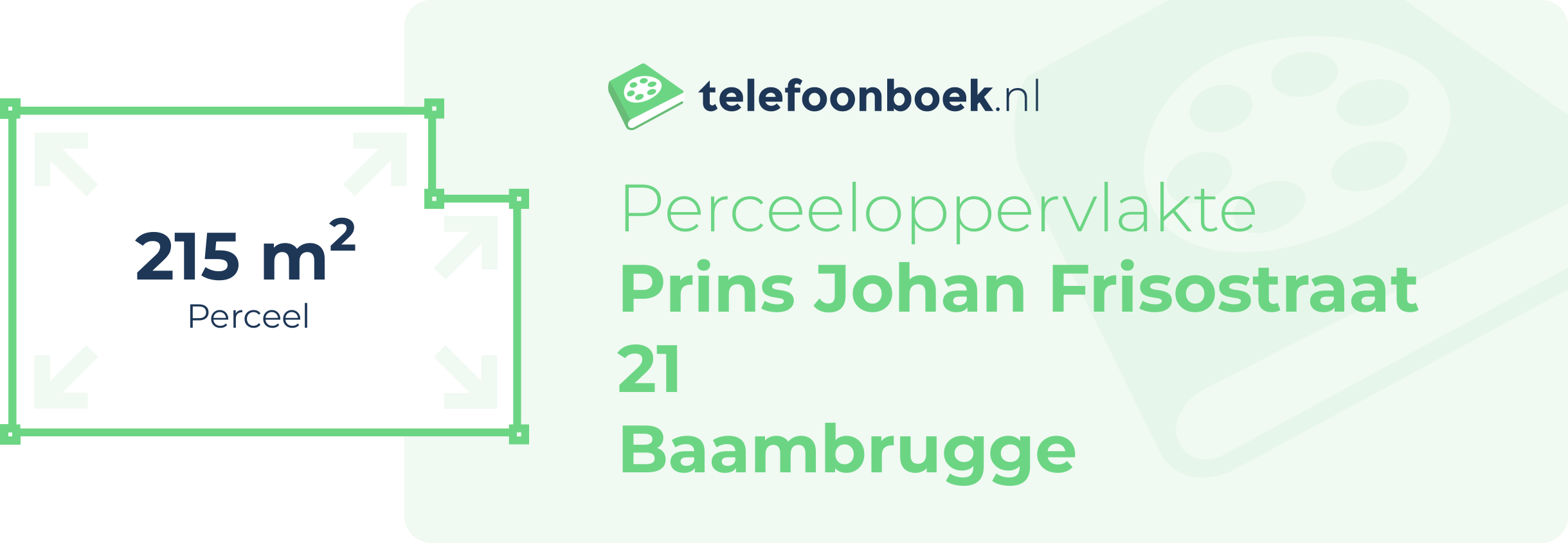 Perceeloppervlakte Prins Johan Frisostraat 21 Baambrugge