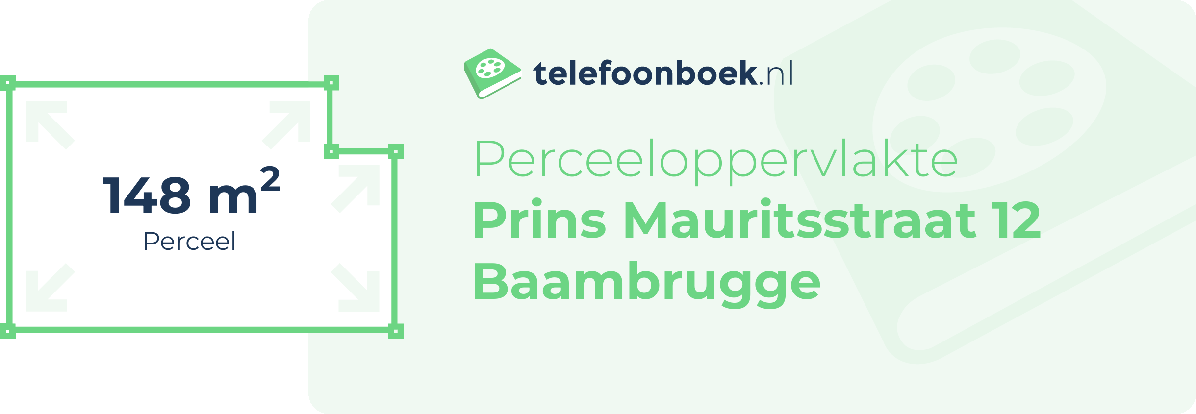 Perceeloppervlakte Prins Mauritsstraat 12 Baambrugge