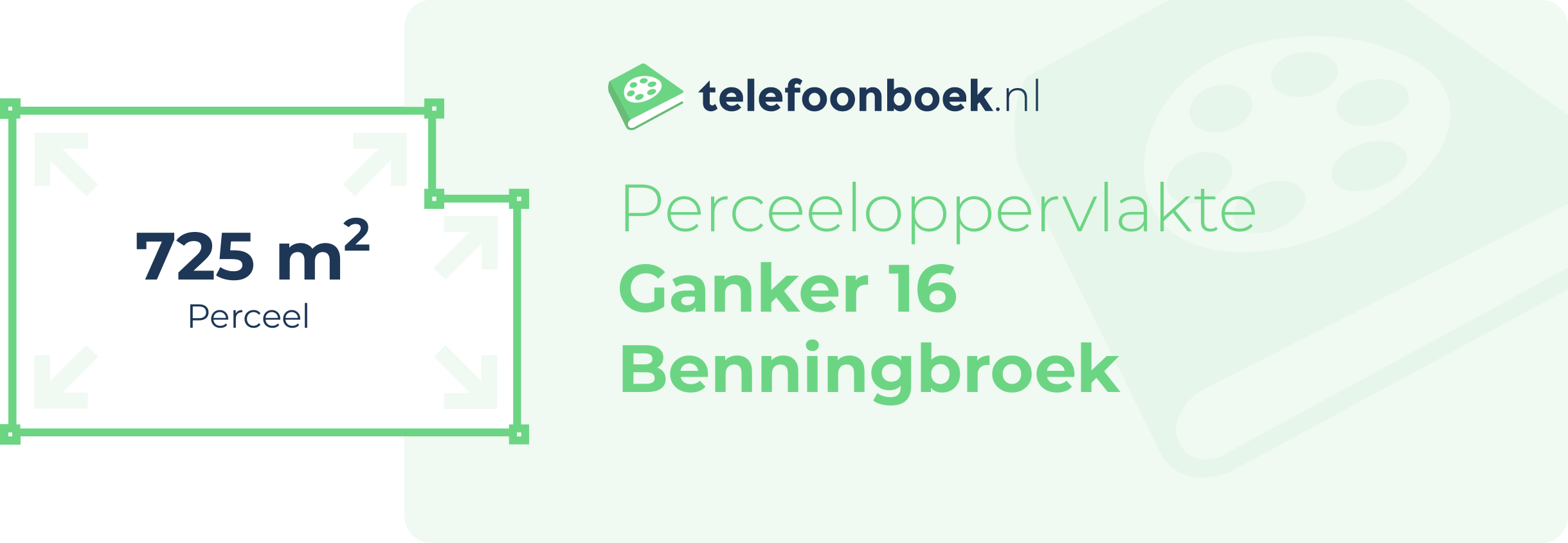 Perceeloppervlakte Ganker 16 Benningbroek