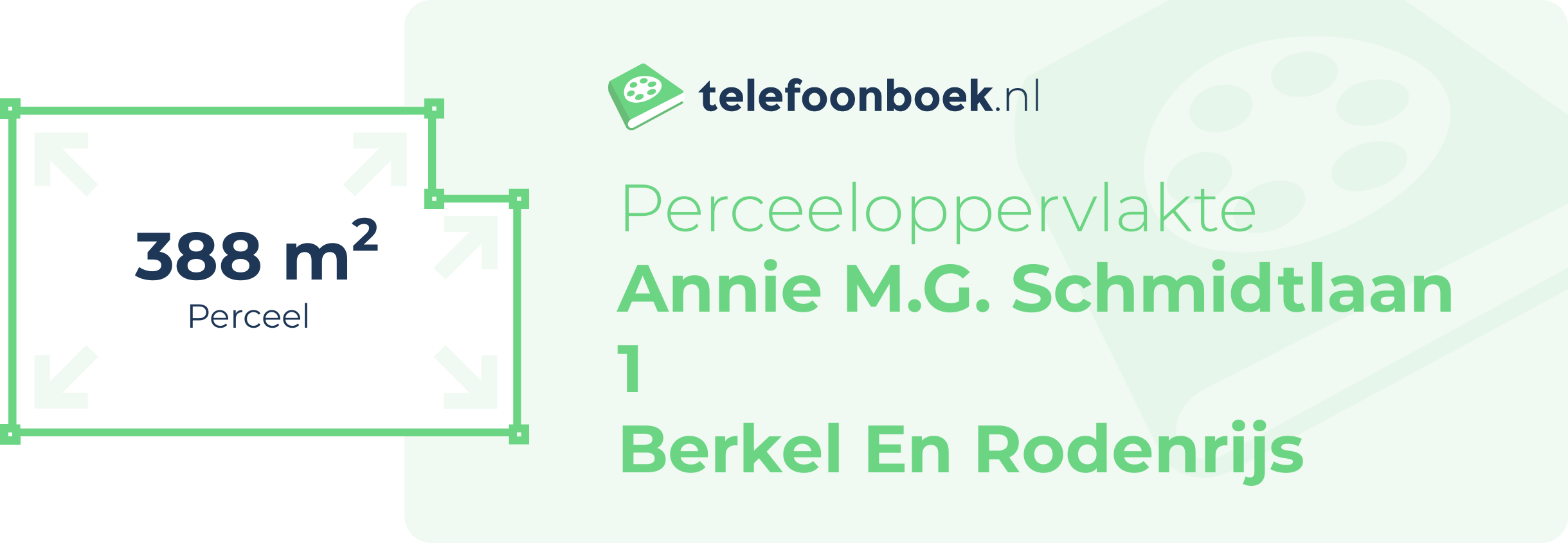 Perceeloppervlakte Annie M.G. Schmidtlaan 1 Berkel En Rodenrijs