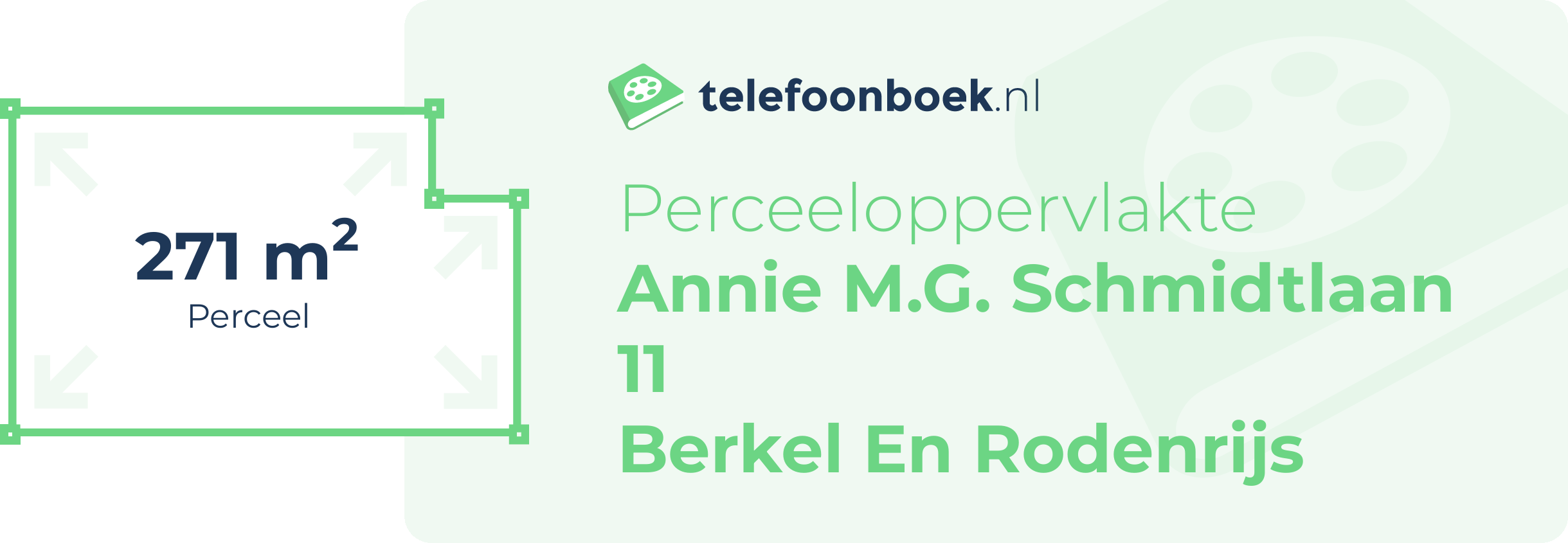 Perceeloppervlakte Annie M.G. Schmidtlaan 11 Berkel En Rodenrijs