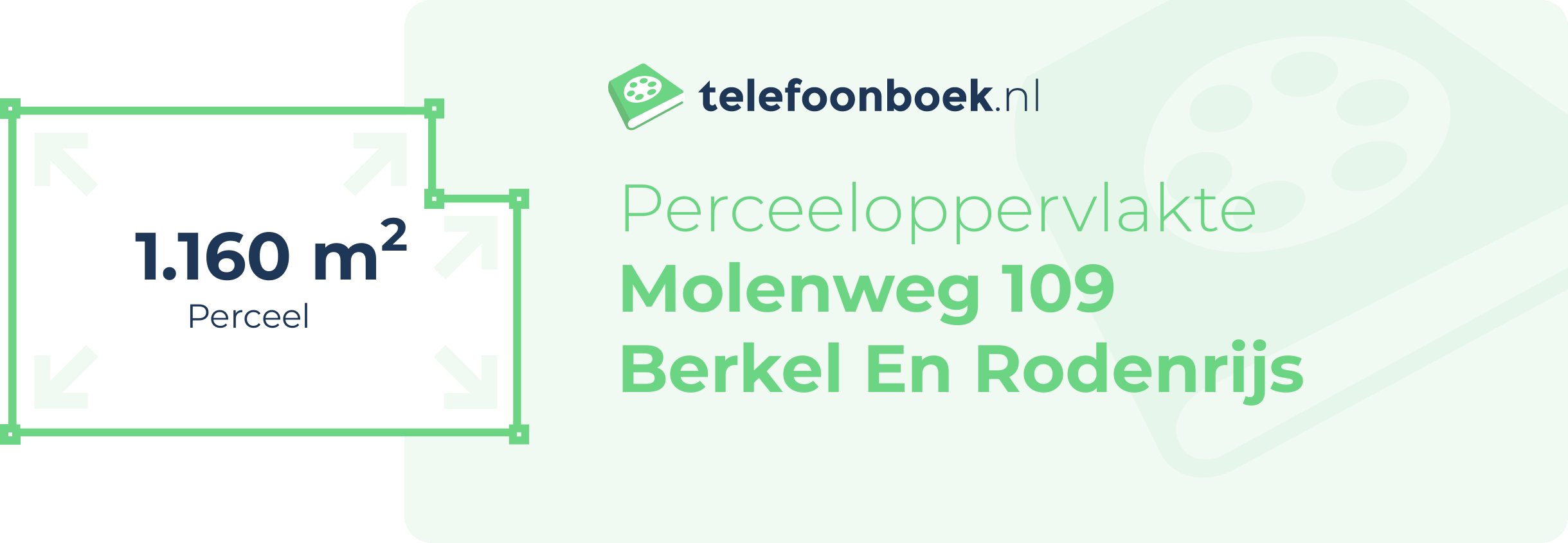 Perceeloppervlakte Molenweg 109 Berkel En Rodenrijs