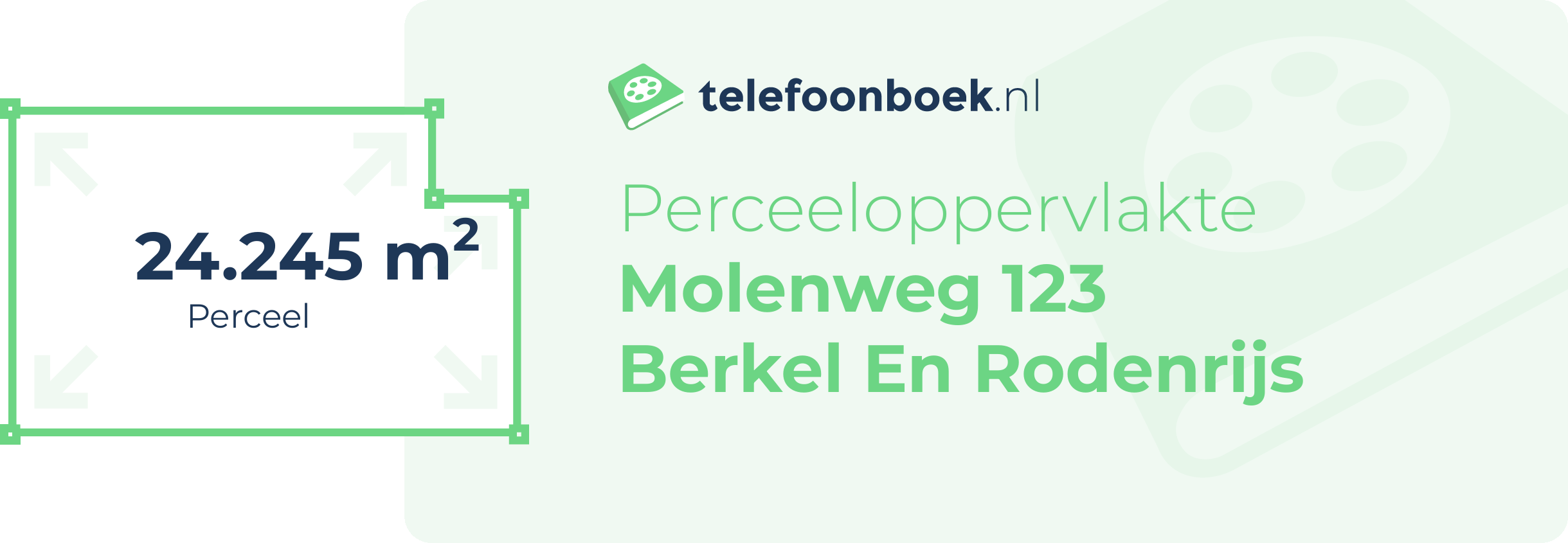 Perceeloppervlakte Molenweg 123 Berkel En Rodenrijs