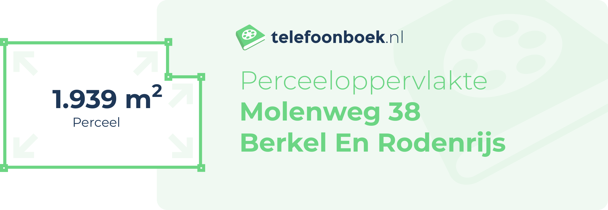 Perceeloppervlakte Molenweg 38 Berkel En Rodenrijs