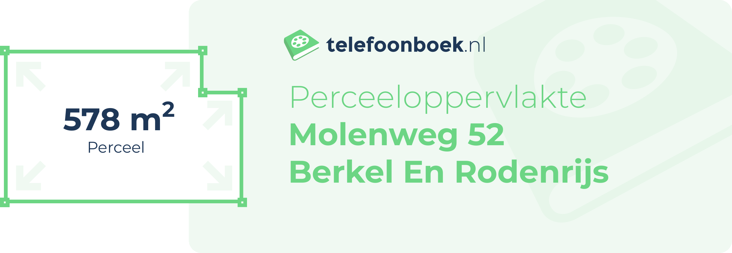 Perceeloppervlakte Molenweg 52 Berkel En Rodenrijs