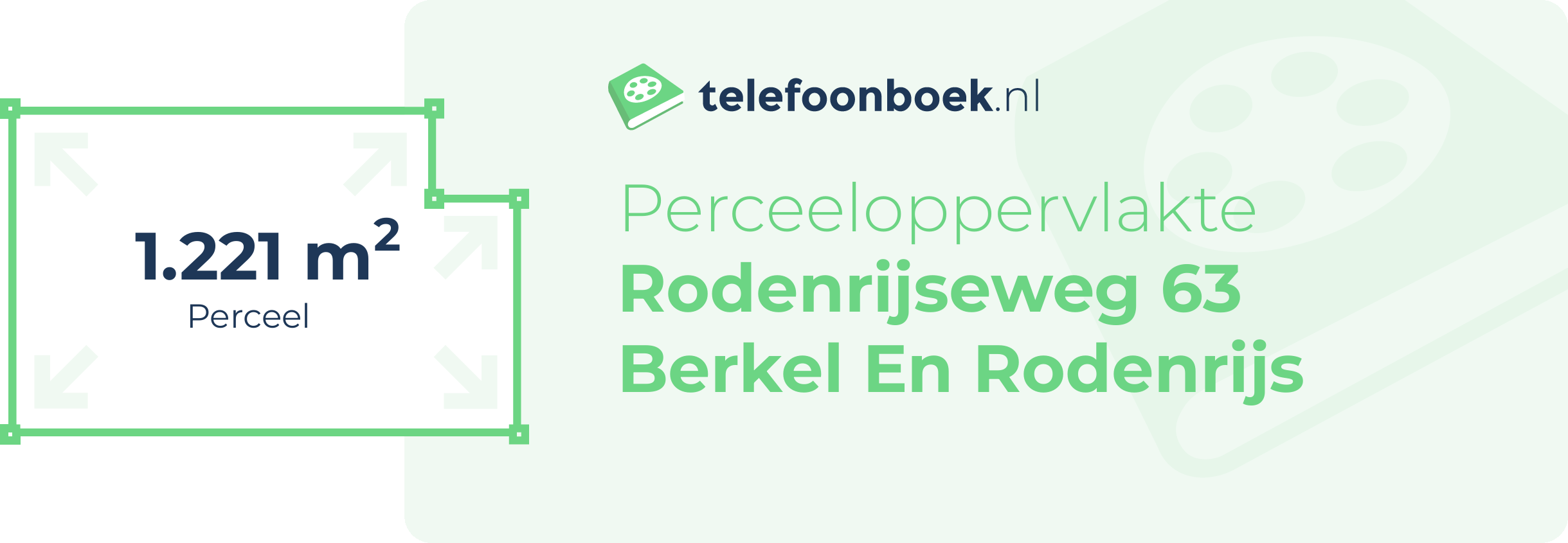 Perceeloppervlakte Rodenrijseweg 63 Berkel En Rodenrijs