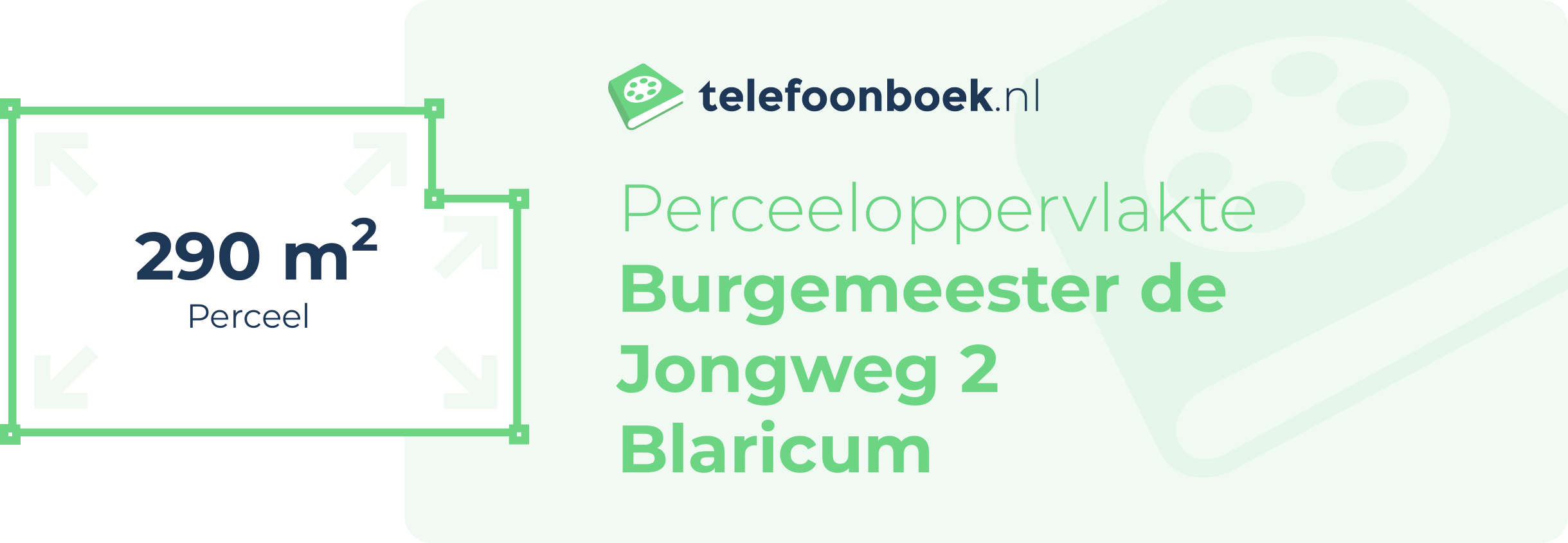 Perceeloppervlakte Burgemeester De Jongweg 2 Blaricum