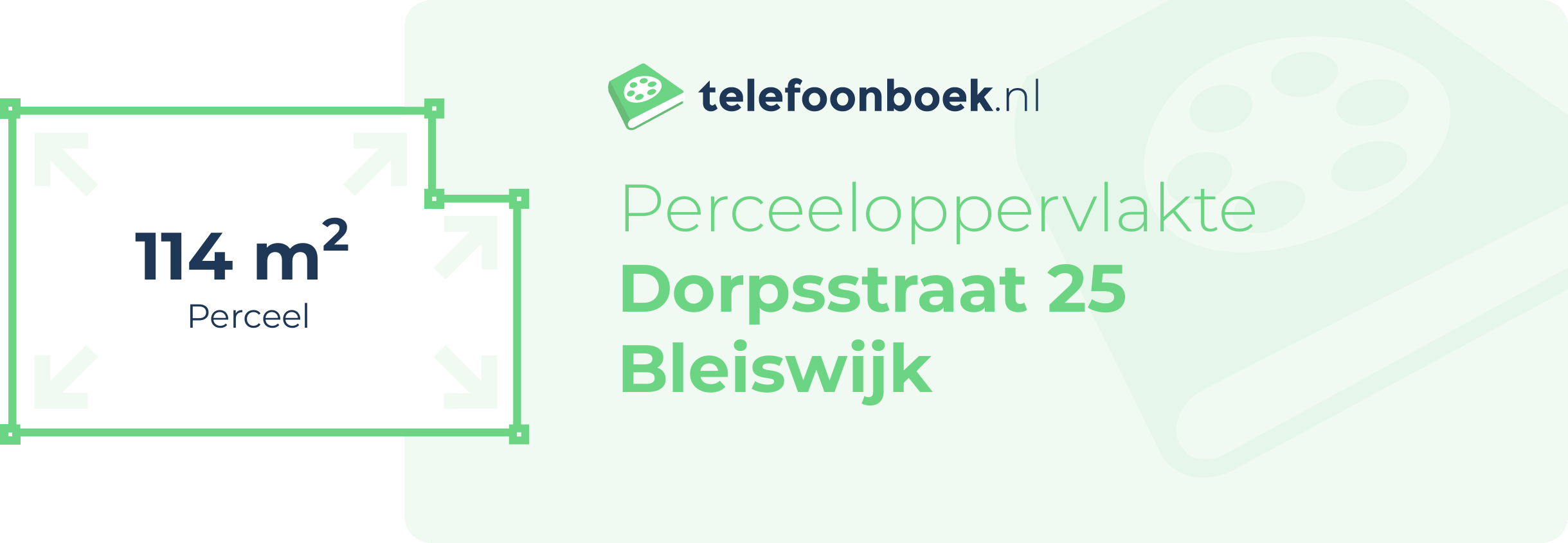 Perceeloppervlakte Dorpsstraat 25 Bleiswijk