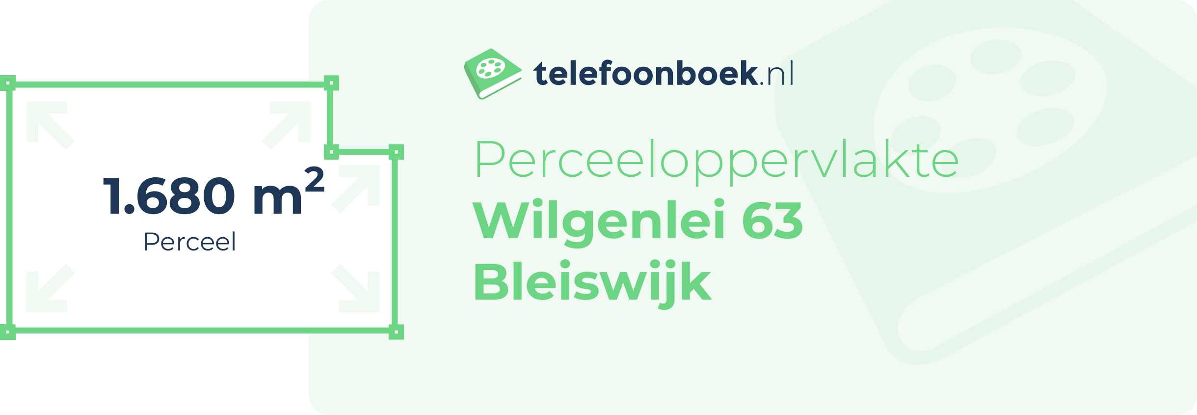 Perceeloppervlakte Wilgenlei 63 Bleiswijk