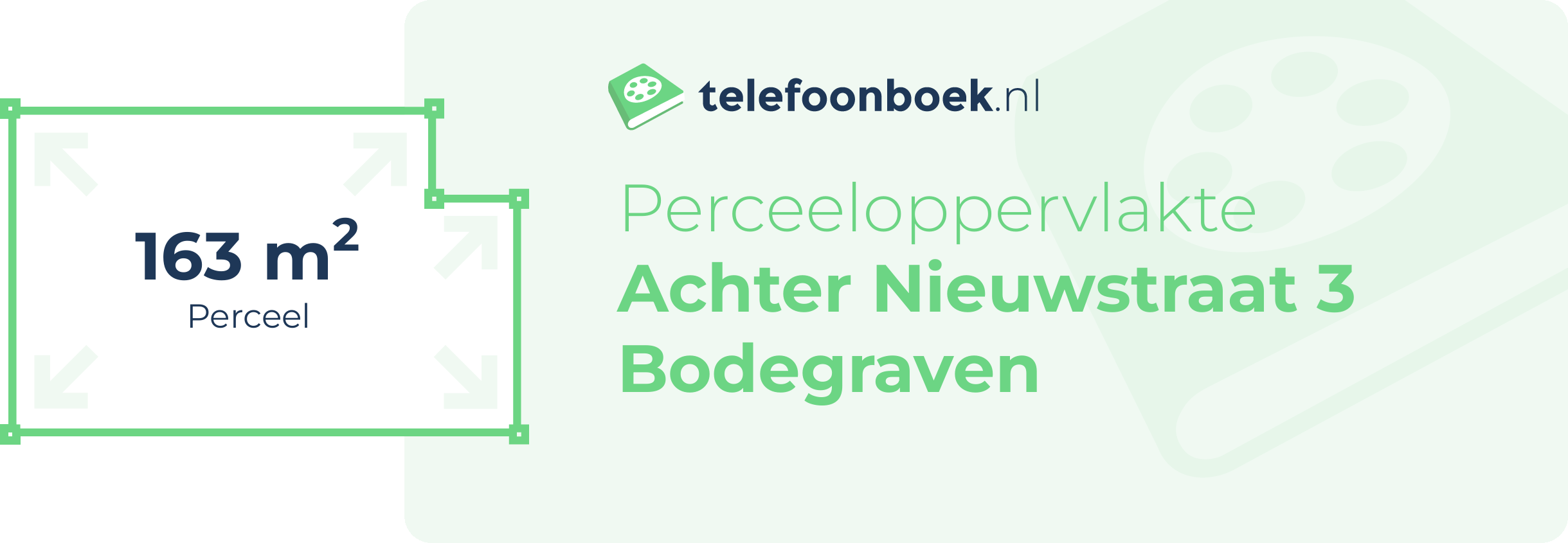 Perceeloppervlakte Achter Nieuwstraat 3 Bodegraven