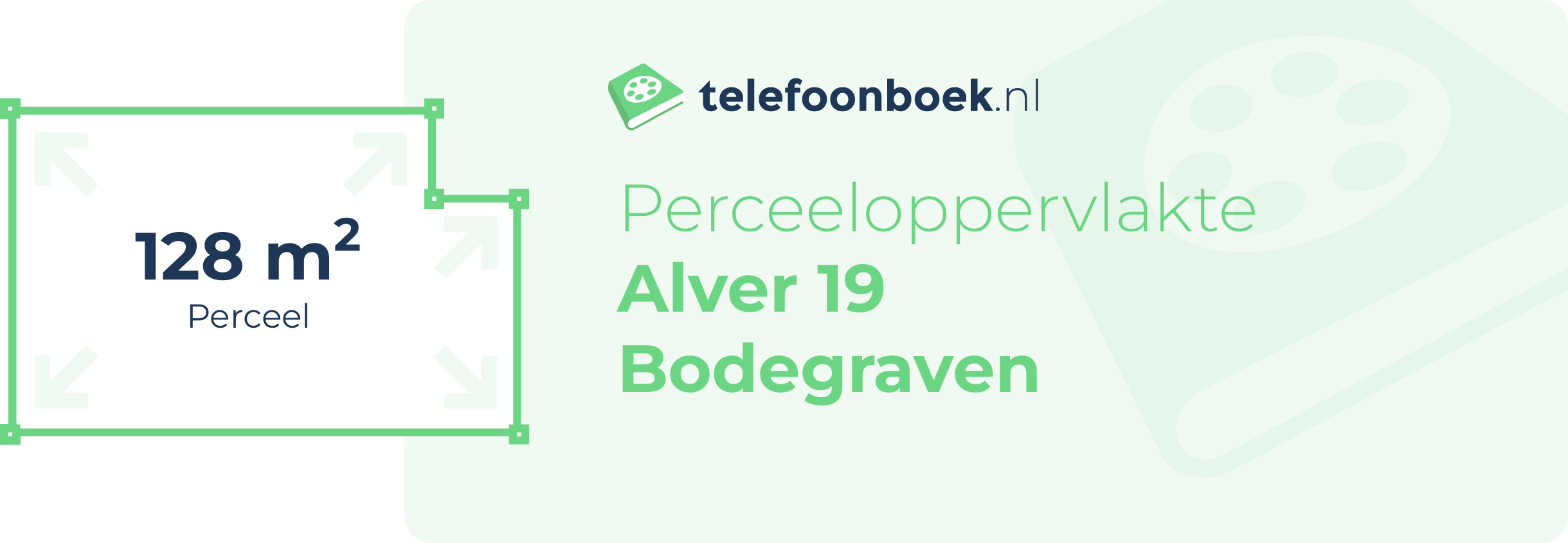 Perceeloppervlakte Alver 19 Bodegraven