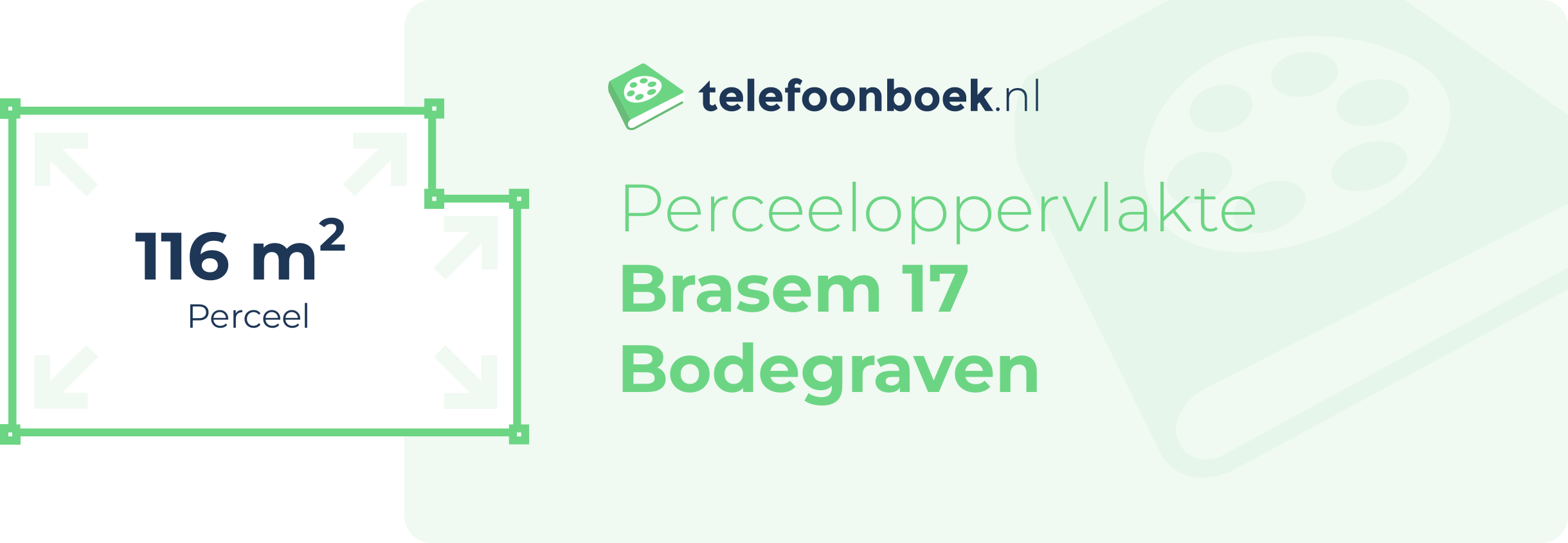 Perceeloppervlakte Brasem 17 Bodegraven