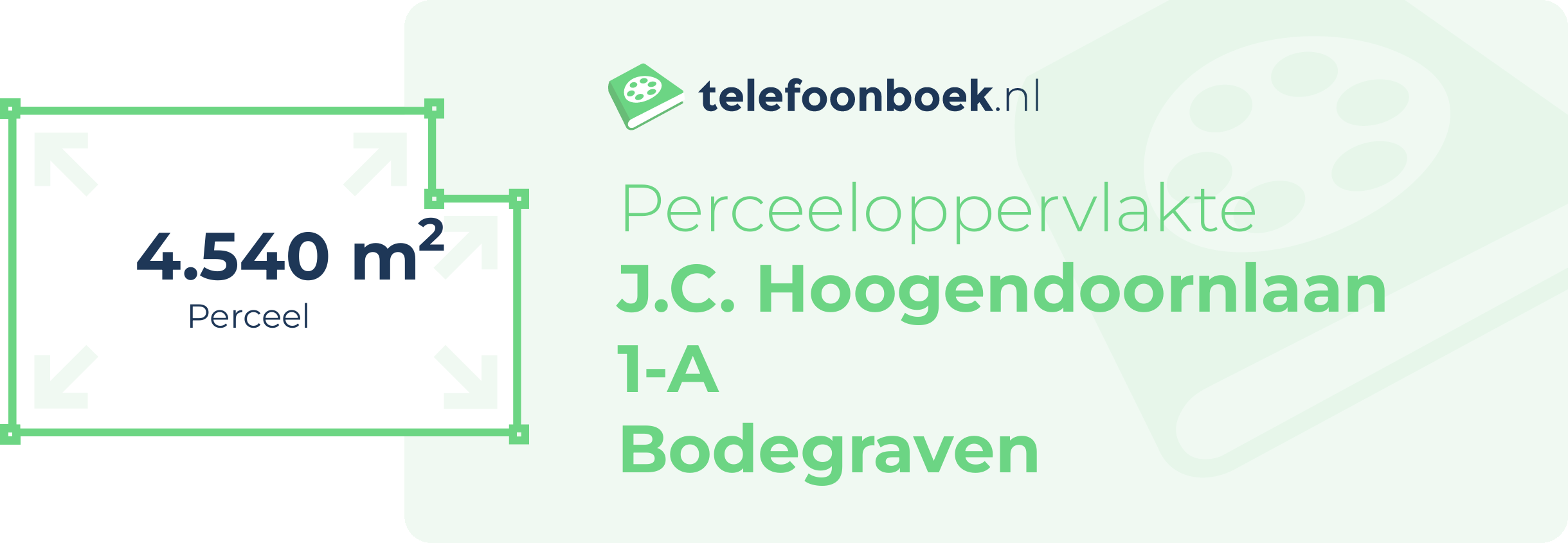 Perceeloppervlakte J.C. Hoogendoornlaan 1-A Bodegraven