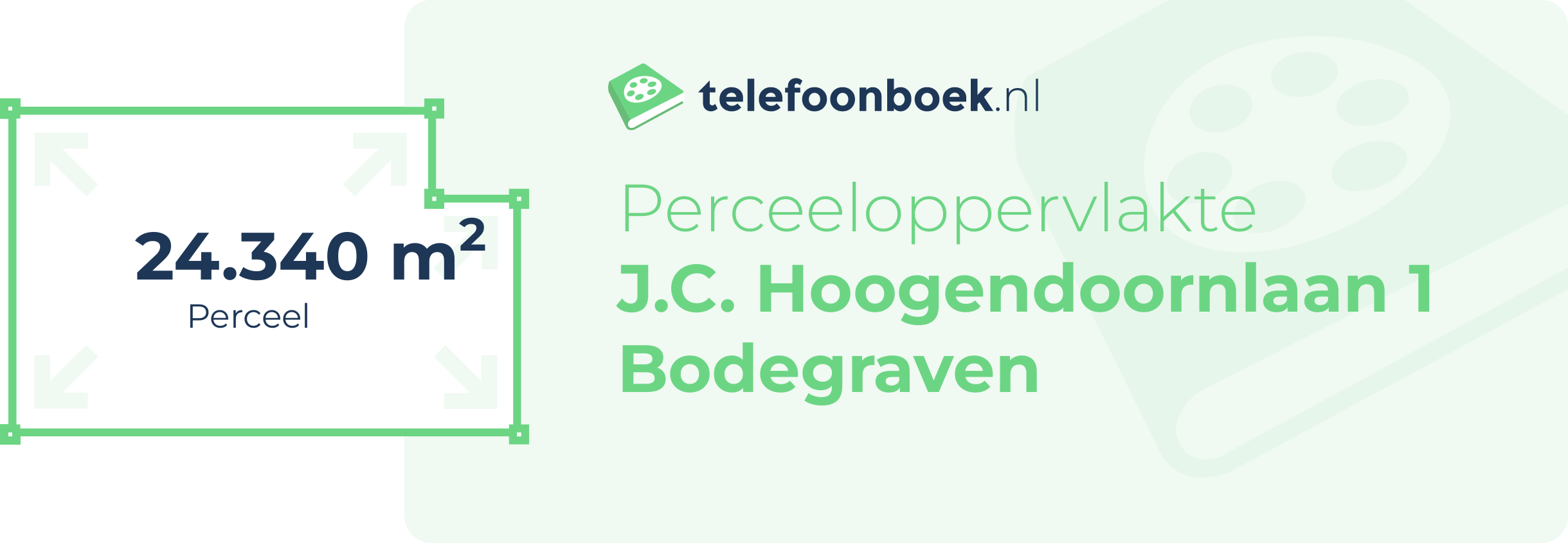Perceeloppervlakte J.C. Hoogendoornlaan 1 Bodegraven