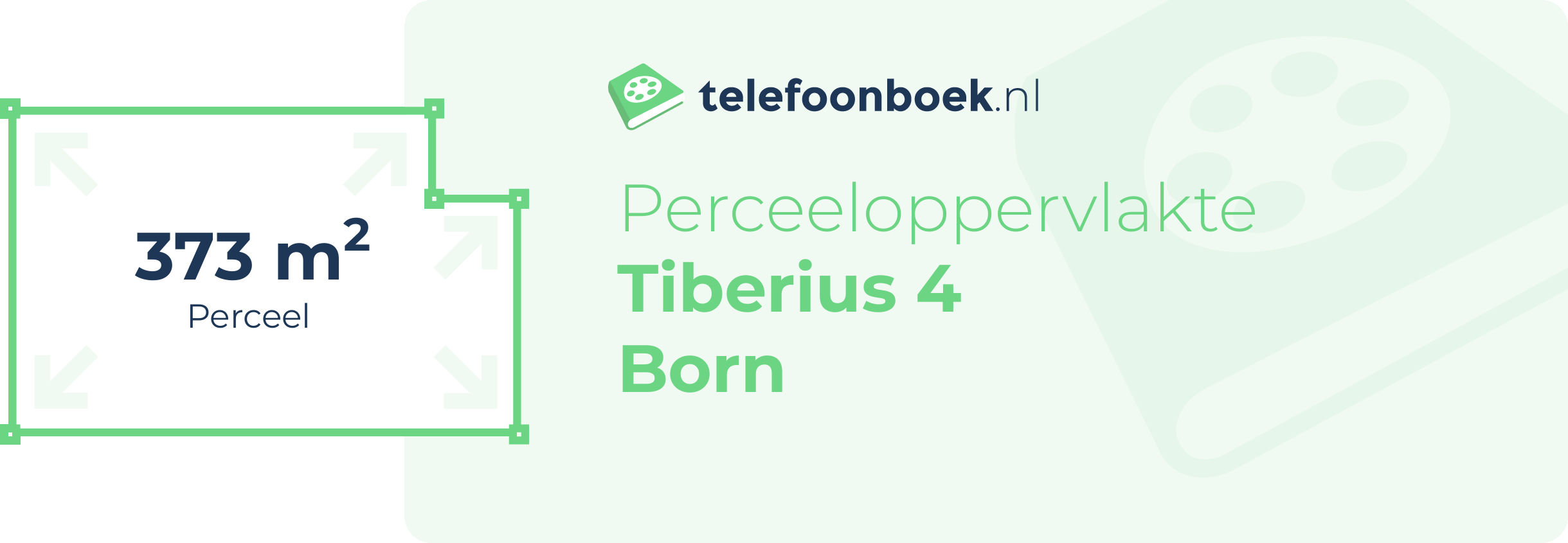 Perceeloppervlakte Tiberius 4 Born