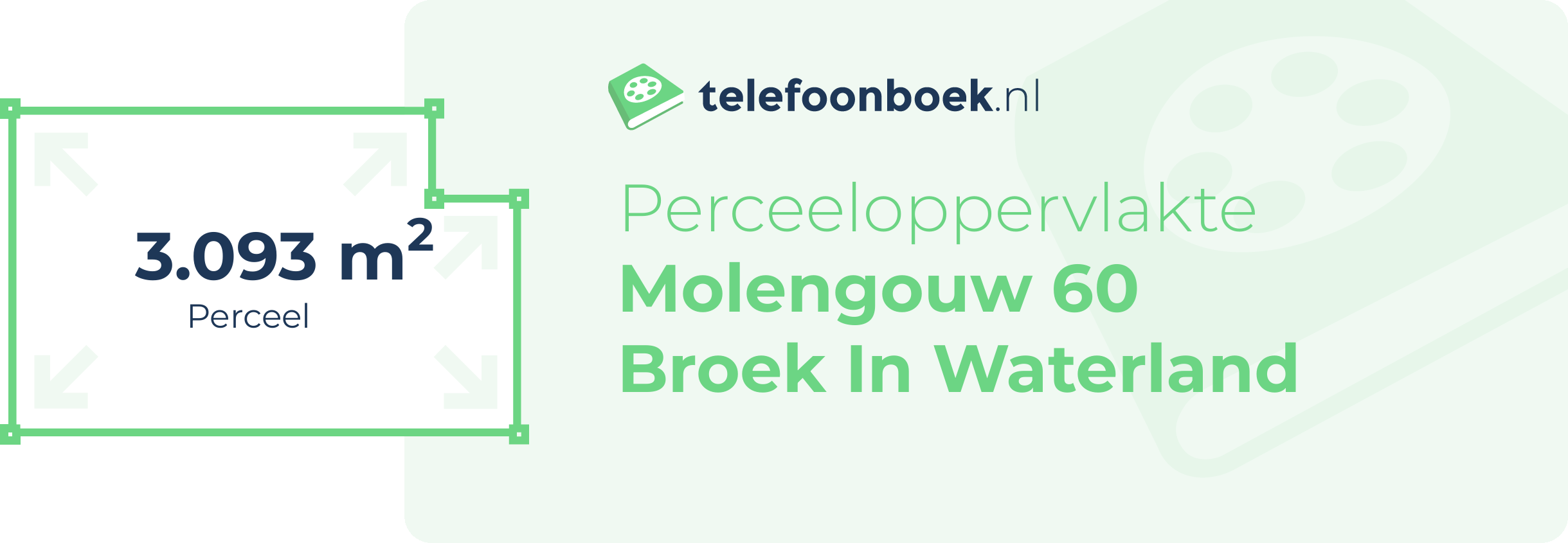 Perceeloppervlakte Molengouw 60 Broek In Waterland