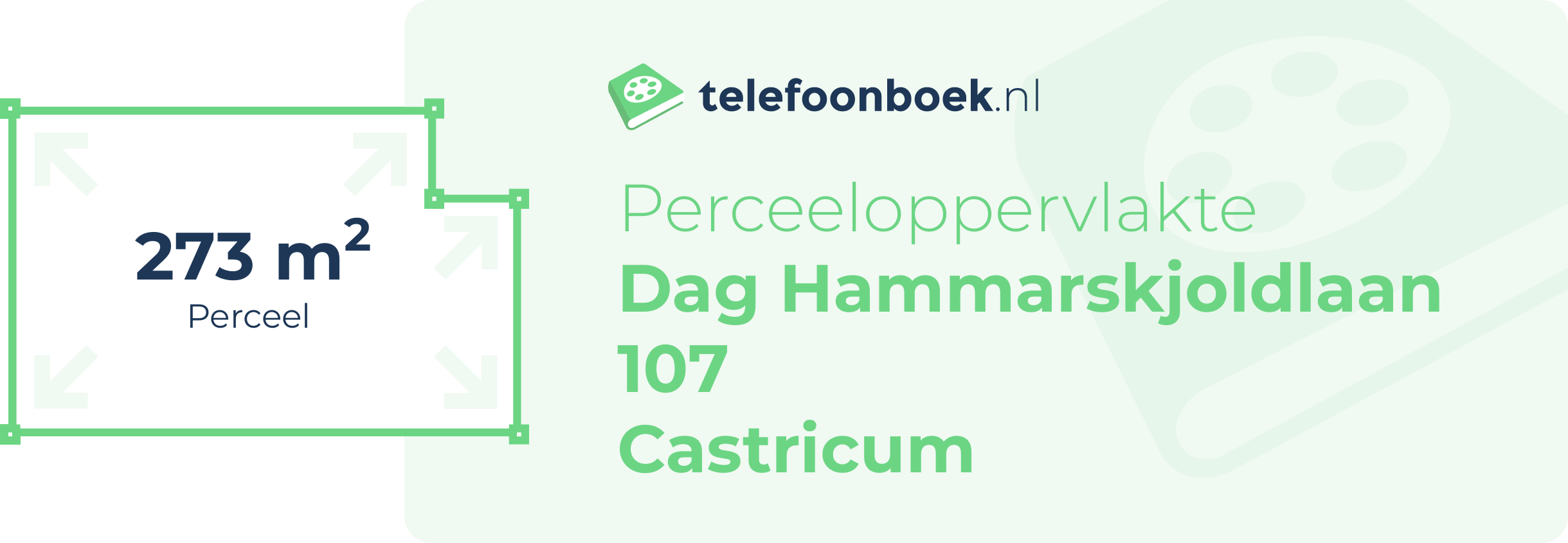 Perceeloppervlakte Dag Hammarskjoldlaan 107 Castricum