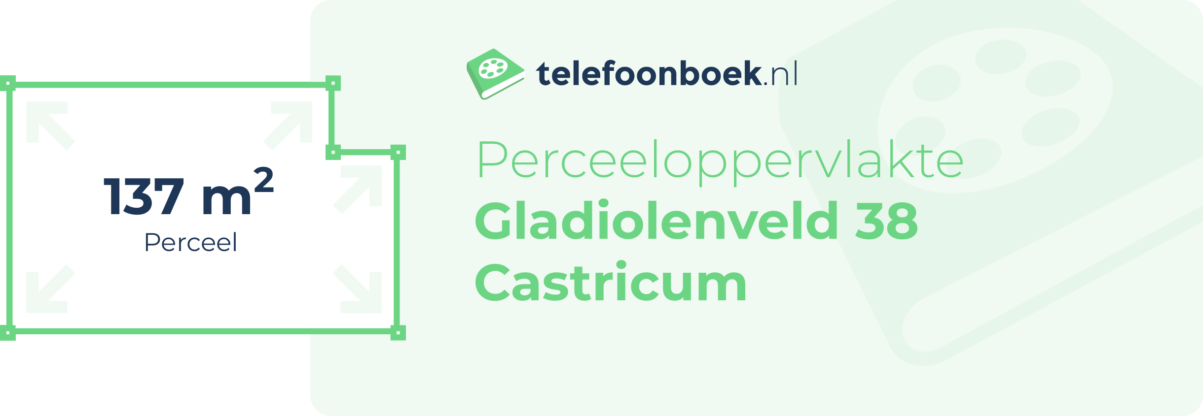 Perceeloppervlakte Gladiolenveld 38 Castricum
