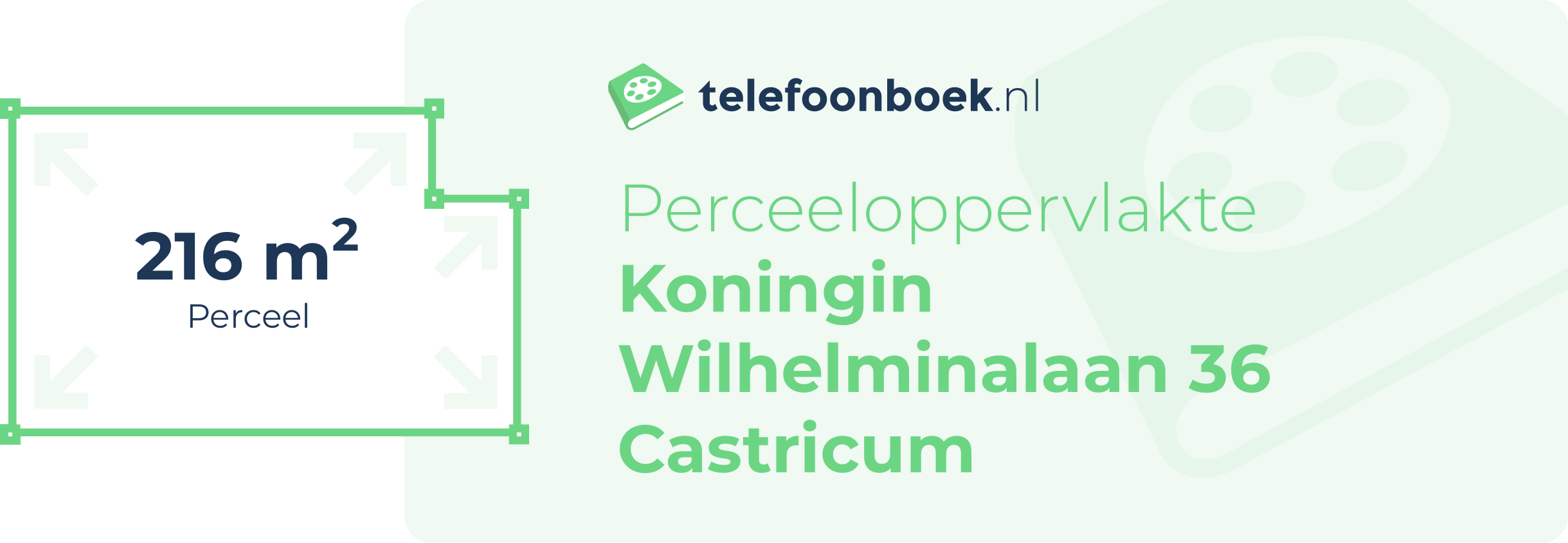 Perceeloppervlakte Koningin Wilhelminalaan 36 Castricum