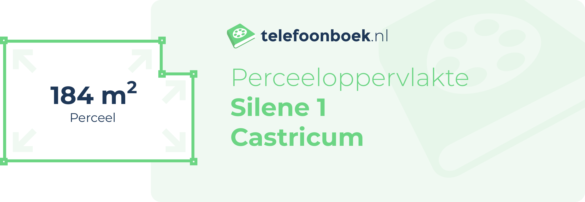 Perceeloppervlakte Silene 1 Castricum