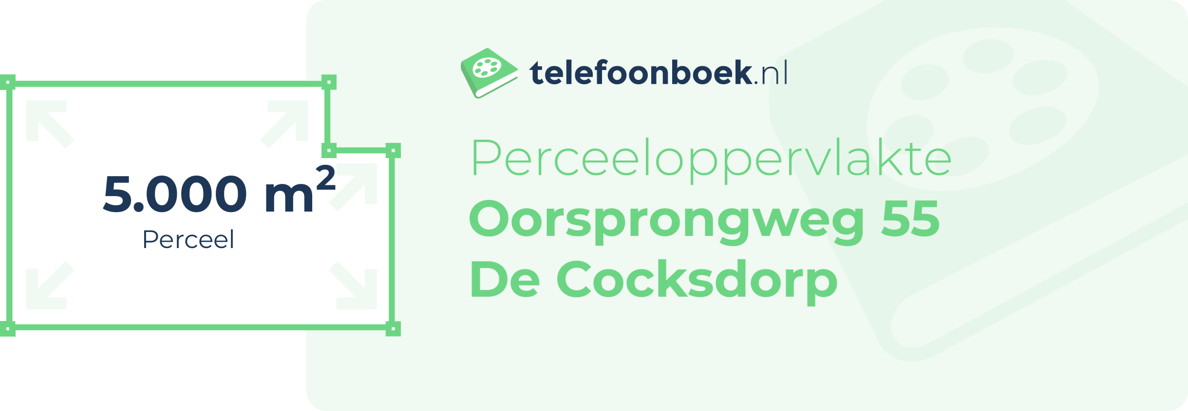 Perceeloppervlakte Oorsprongweg 55 De Cocksdorp