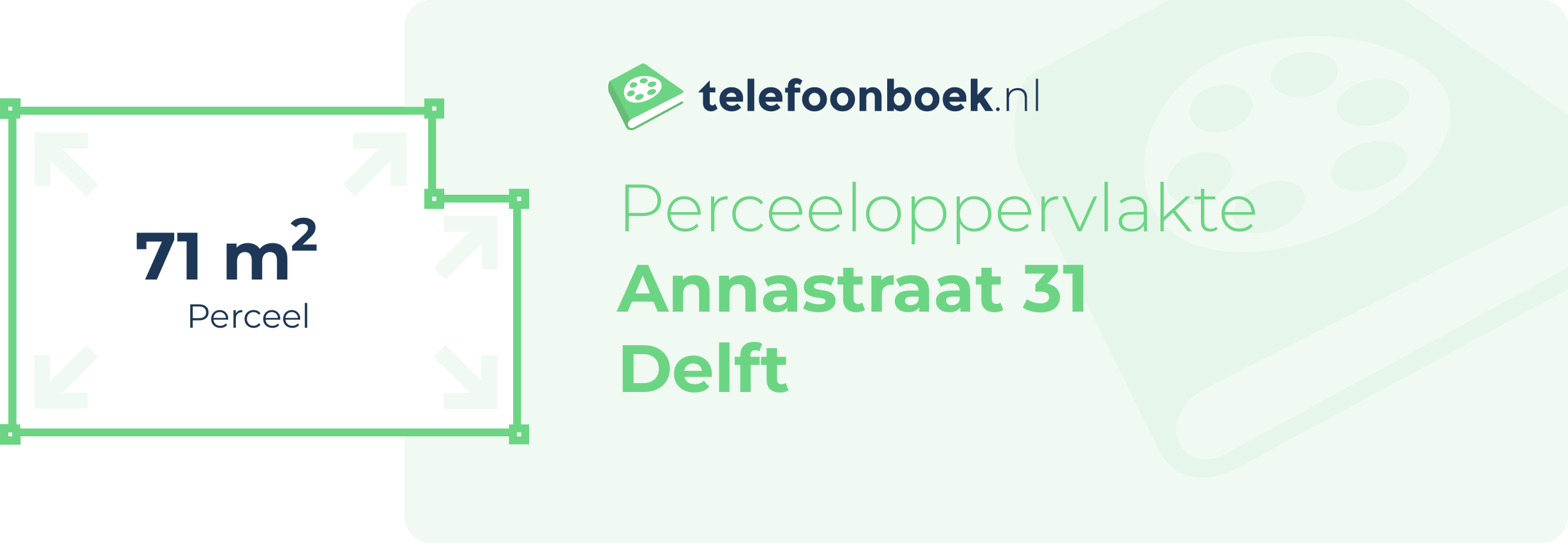 Perceeloppervlakte Annastraat 31 Delft