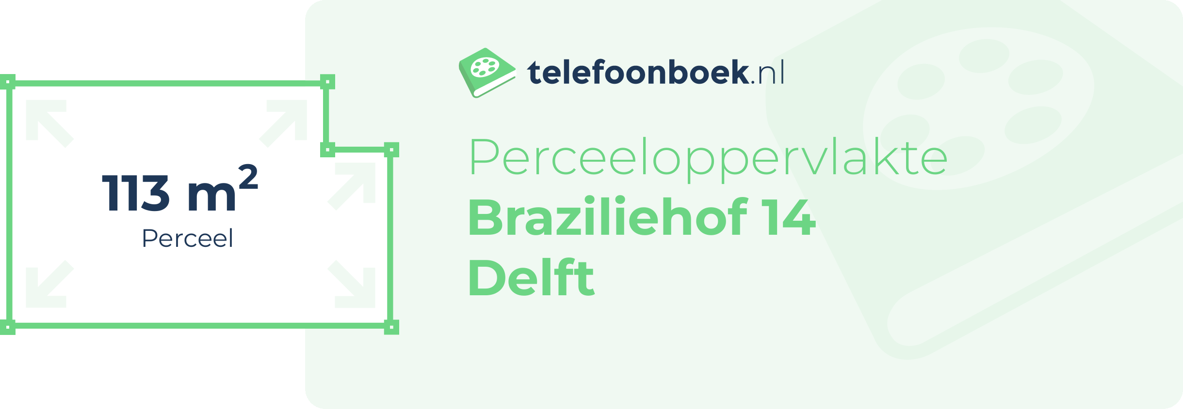 Perceeloppervlakte Braziliehof 14 Delft